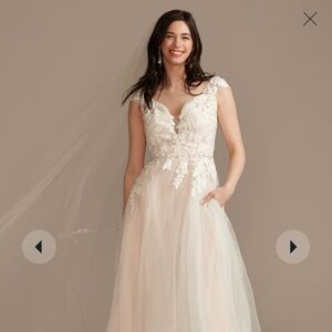 Appliqued Cap Sleeve Tulle Ball Gown Wedding Dress